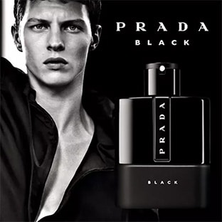 parfum prada black