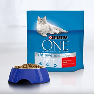 Test Purina One 2 500 Packs De Croquettes Bifensis Gratuits