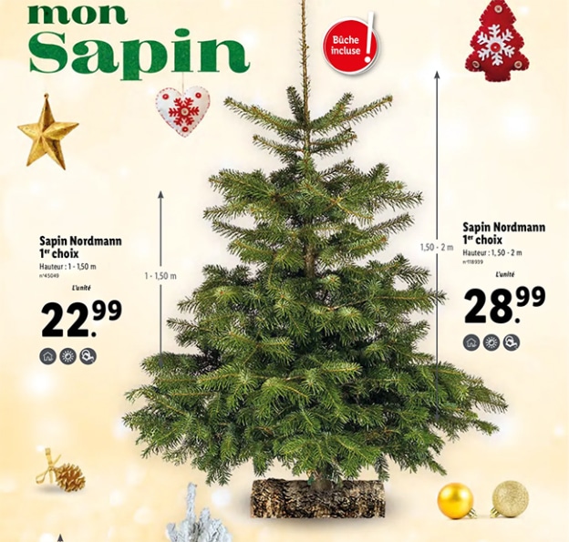 Le Sapin de Noël Lidl 2024 : Un Arbre Magique à Prix Abordable