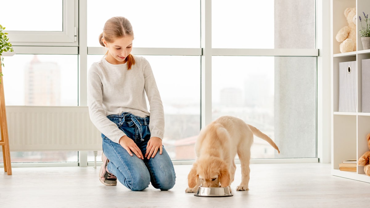 Royal Canin : Coffret chiot gratuit sur simple demande